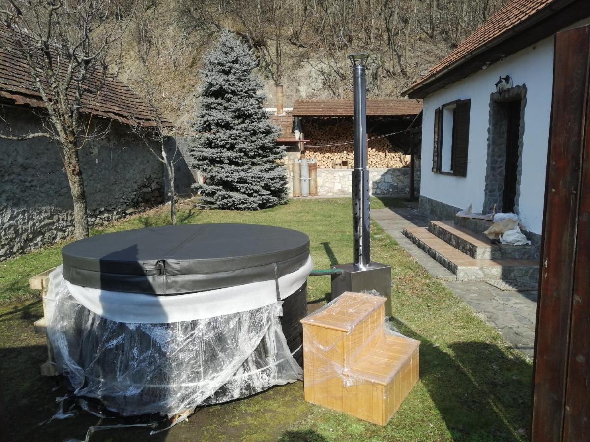 Casa Sasca Montana Sasca Montană Exterior foto